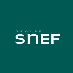 logo Groupe Snef